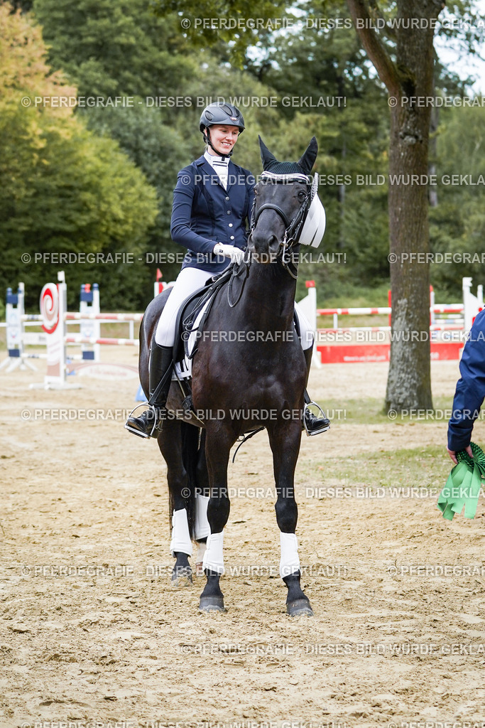 DSC02554 | Pferdegrafie