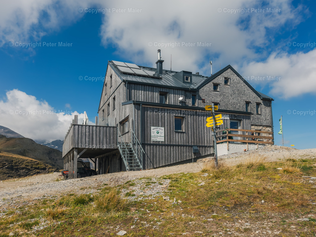 Vorderer_Geißelkopf-3 | piet_flosse
