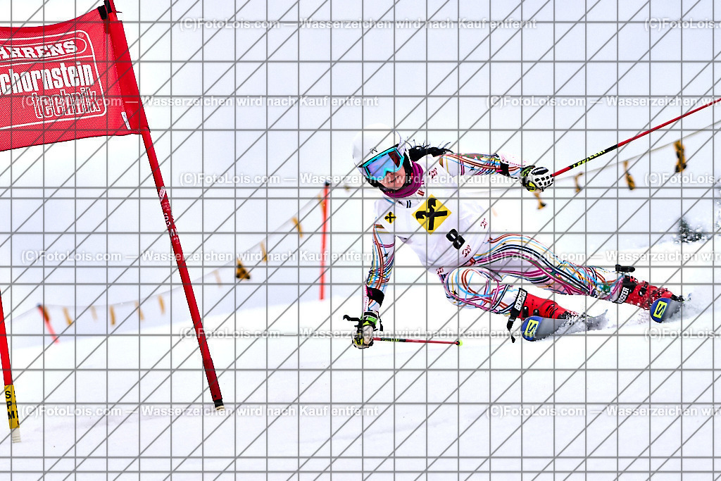 ALP7030_NOe-MASTERS-Cup-RTL_Distelpiste_Unterweger Kerstin | (C)FotoLois.com, Alois Spandl. NÖ MASTERS-Cup Riesentorlauf auf der Distelpiste in Lackenhof, Sa 10. Februar 2024.