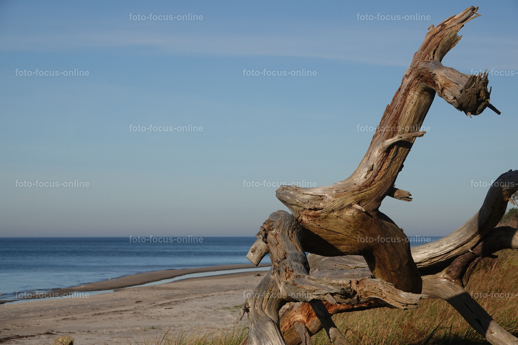 North Beach autumn, Darß | foto-focus-online