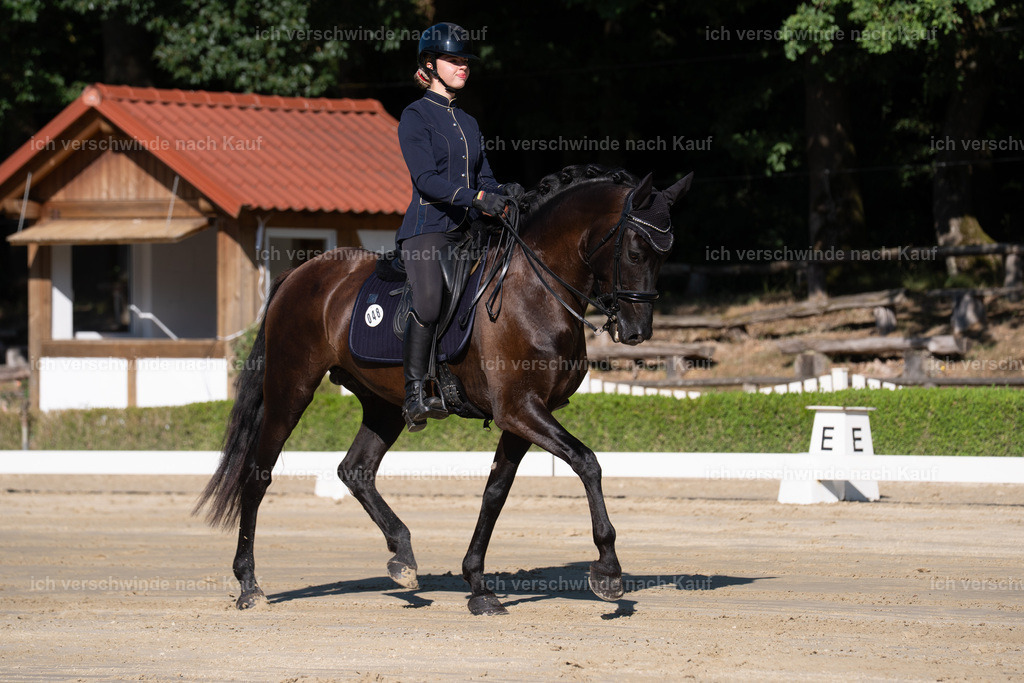 WM_DR_48_sinafilmart_IN04227 | working equitationturnier fotograf videograf stoibphotography marixx film working equitation deutschland reitsport turnierfotografie eventfotografie equestrian events