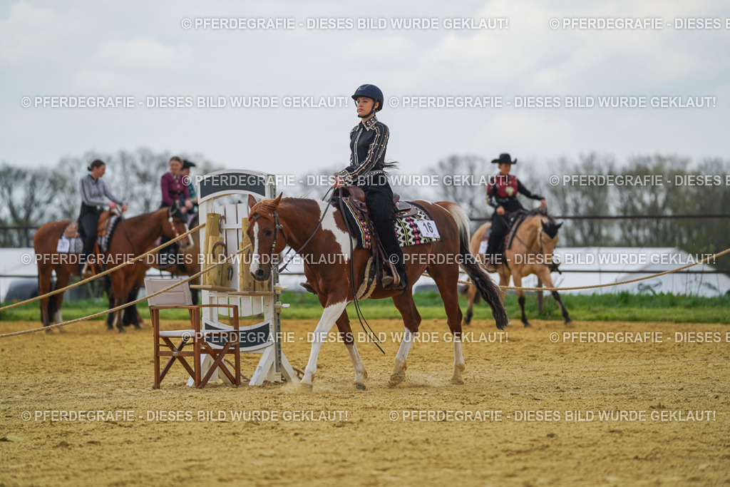 DSC06423 | Pferdegrafie