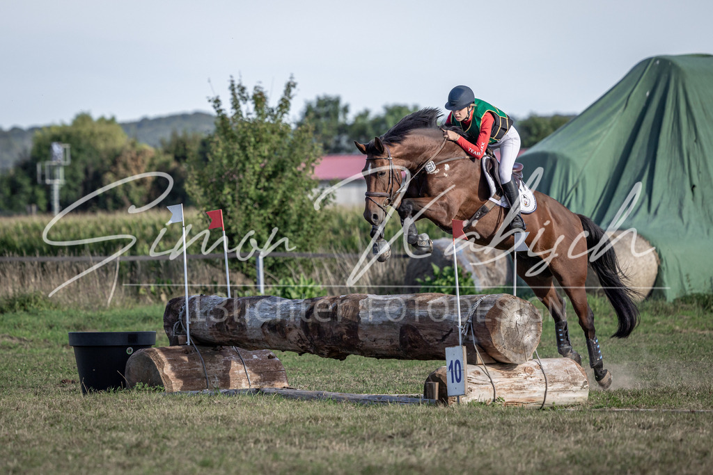 20250907-_3LI4131 | Tierfotografie Pferde, Hunde, Katzen, Haustiere.
Turnierfotografie Reitturniere, Reiten, Springreiten, Dressur in Hanau, dem Main-Kinzig-Kreis und dem Rhein-Main- Gebiet um Frankfurt