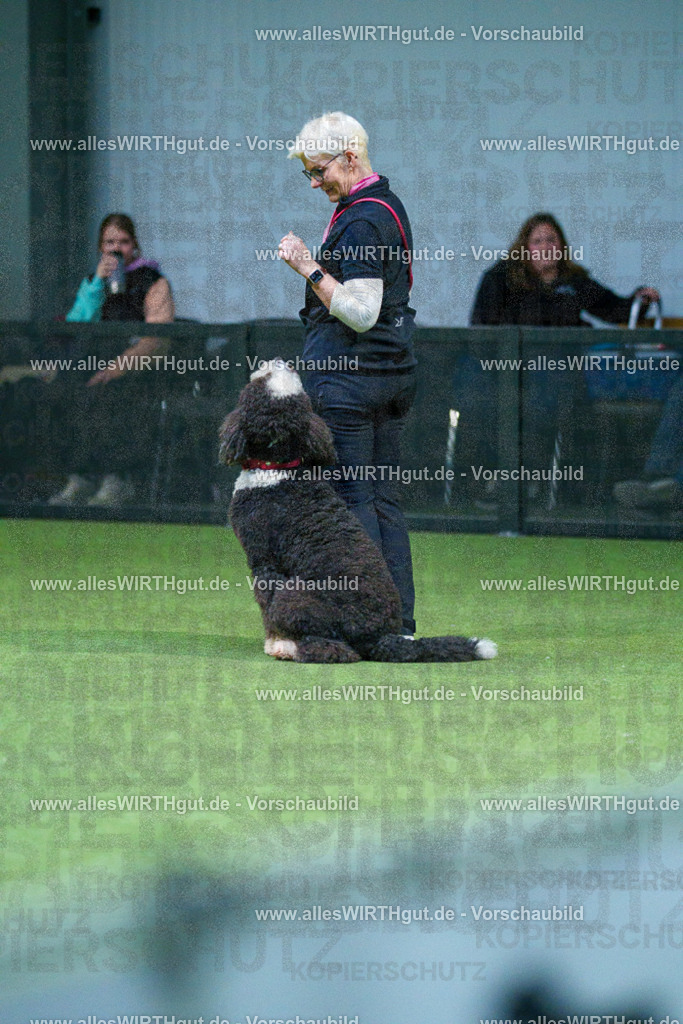 7R502686 | Professionelle Tierfotografie in Mönchengladbach von Daniel Wirth (allesWIRTHgut). Liebevolle & natürliche Bilder von Hunden & Katzen für unvergessliche Erinnerungen.