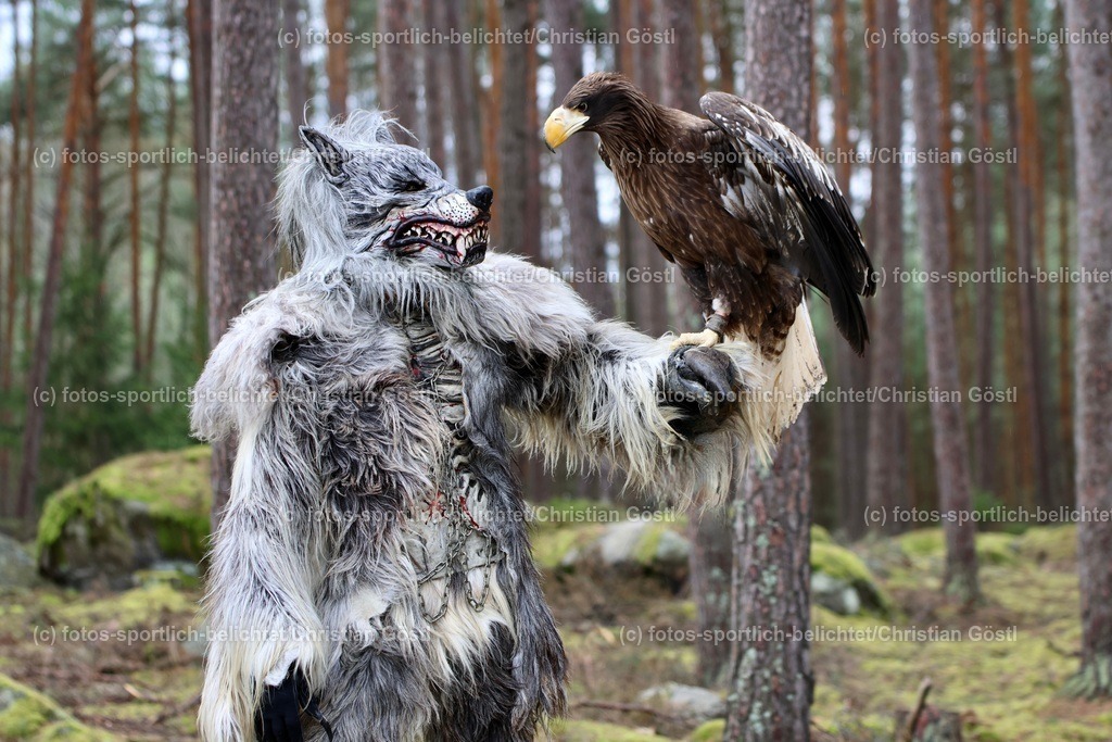 2X5A4240 | fotos-sportlich-belichtet - Realisiert mit Pictrs.com