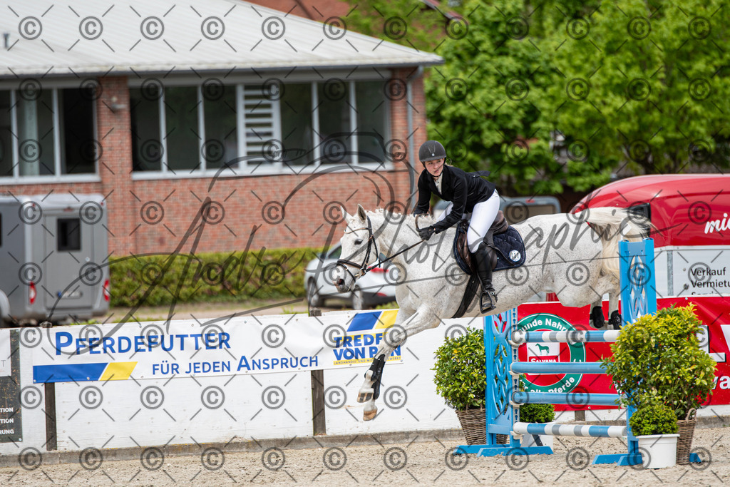 KPT_5465 | andre_photographic