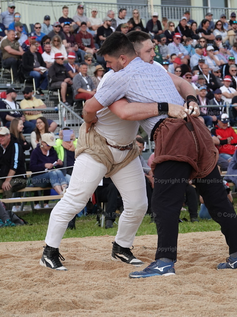 DSC06637 | Schwingen - Realisiert mit Pictrs.com
