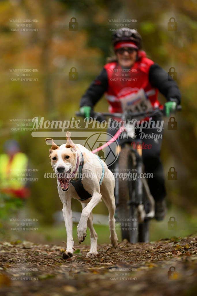 MompixPhotography_Bischwiller24_SA_VTT-29 | PayLife