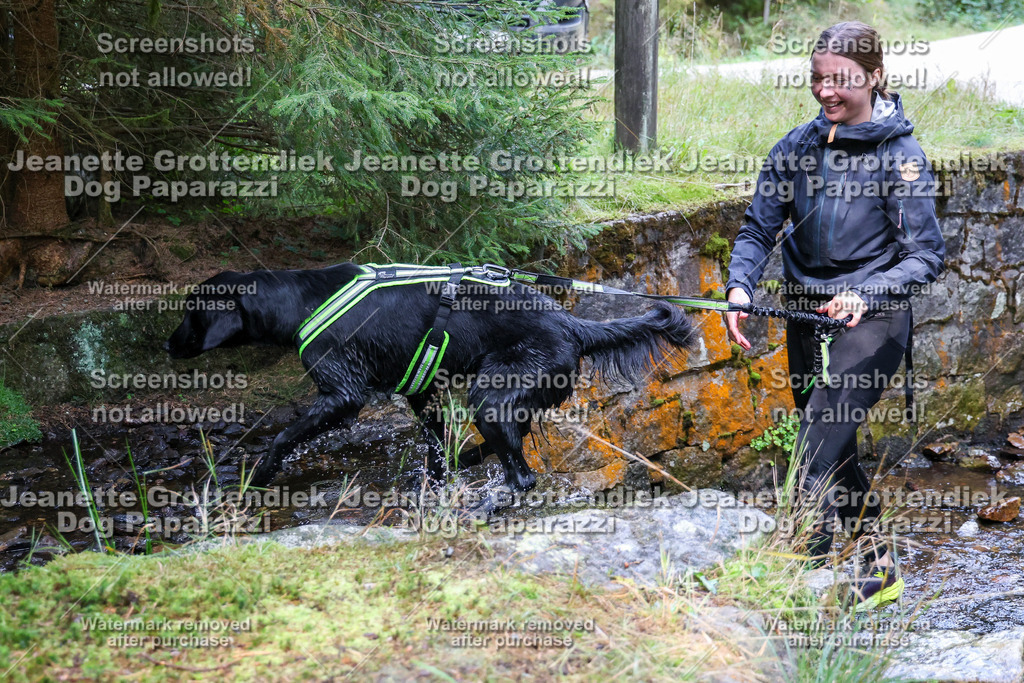 Dog Paparazzi -  TH 26-502 | Dog Paparazzi Jeanette Grottendiek Fotografie & Videografie - Realisiert mit Pictrs.com