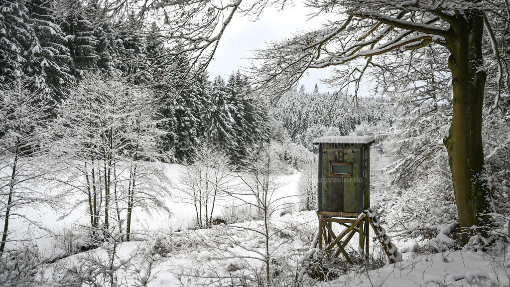 Hochsitz im Briloner Schneewald | Schneebedeckte Waldlichtung umrahmt von Wald im Winter. Hochsitz an dem Fluß Glenne in Brilon nähe Altenbüren. Schneetag mit blauem Himmel im Sauerland, Deutschland.