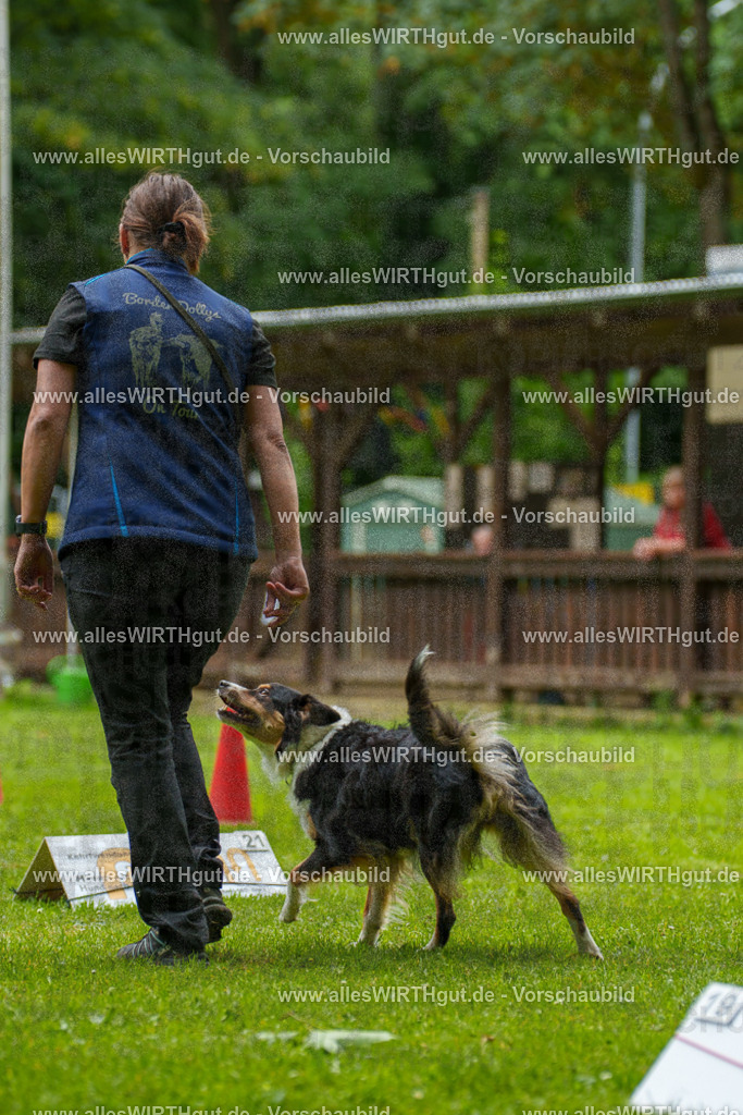 @allesWIRTHgut_Tierfotografie - www.allesWIRTHgut.de - 091938-7R506942 | Professionelle Tierfotografie in Mönchengladbach von Daniel Wirth (allesWIRTHgut). Liebevolle & natürliche Bilder von Hunden & Katzen für unvergessliche Erinnerungen.