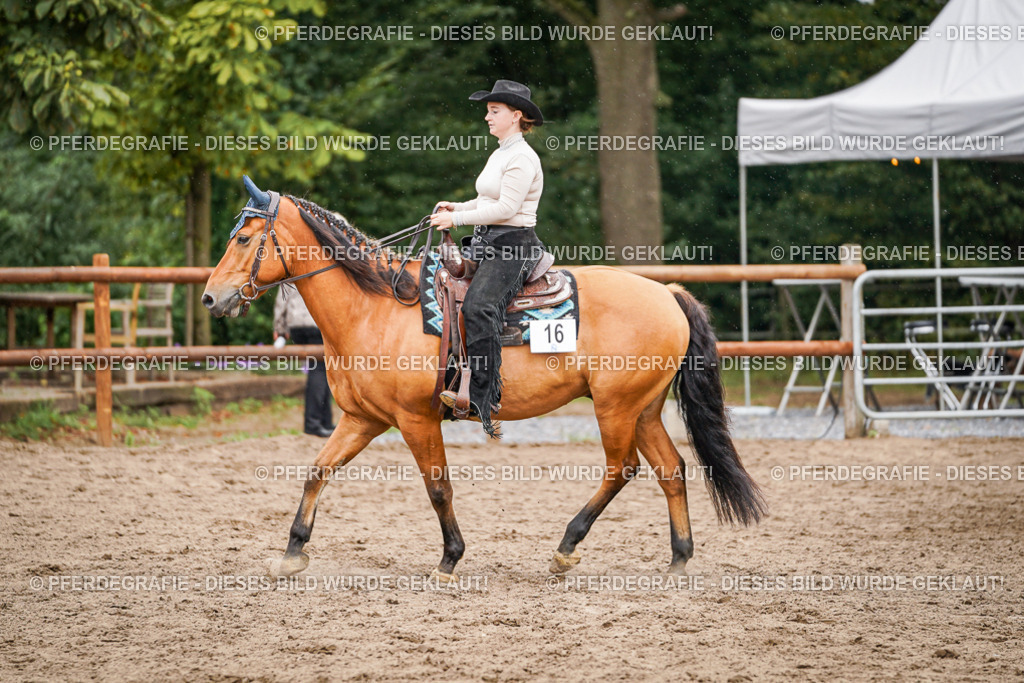 DSC04895 | Pferdegrafie