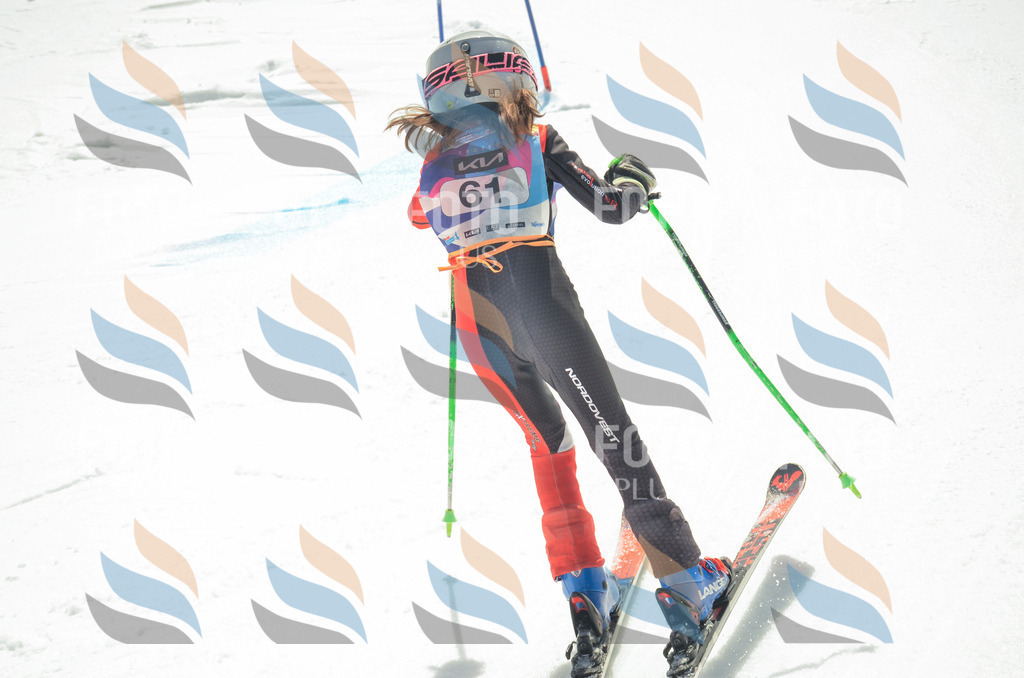 _ELE5331 | holidayphoto