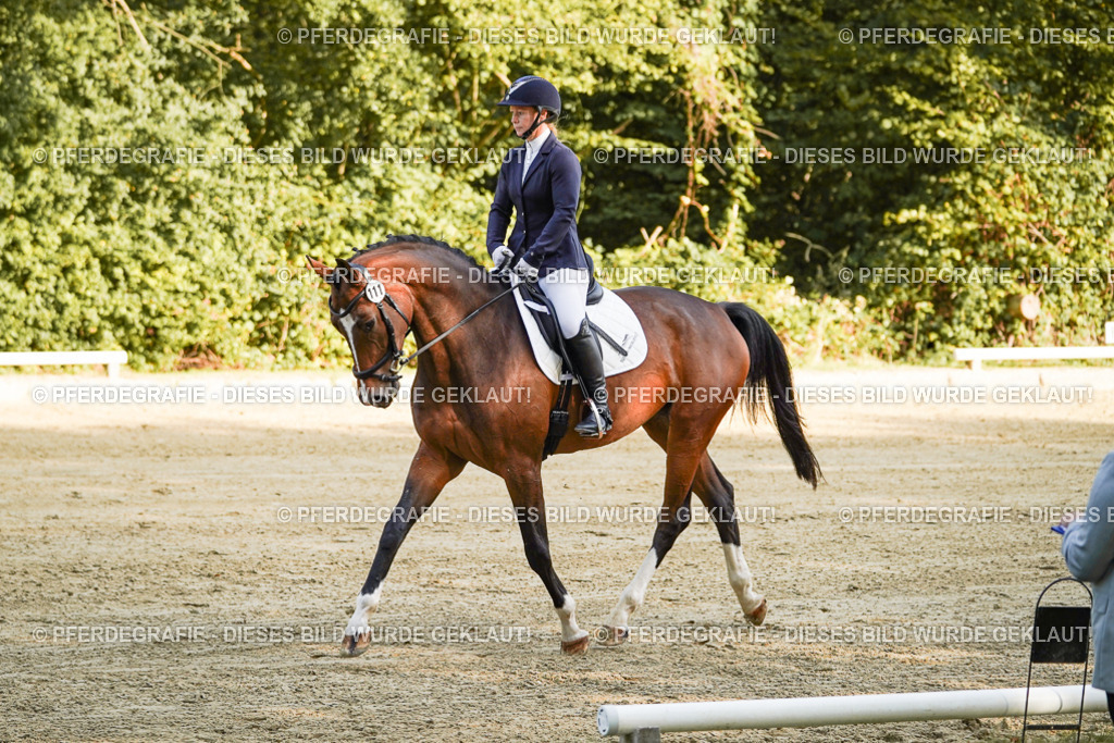 DSC05329 | Pferdegrafie