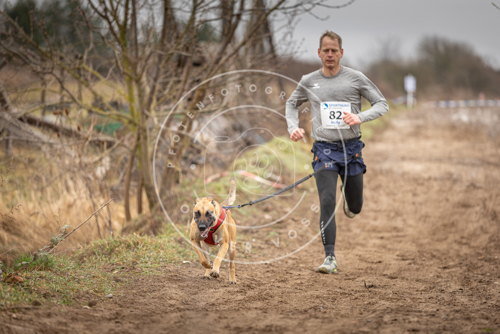DV3A9884 | Hundefotografie, Tierfotograf, Pfotenfotografie, Fotoshooting Hund, Hunde Portrait, Hundesport, Hundeportraits, Heideshooting, Hunde, Sportfotograf, Hundefotograf, Turnierhundsport, THS,  - Realisiert mit Pictrs.com