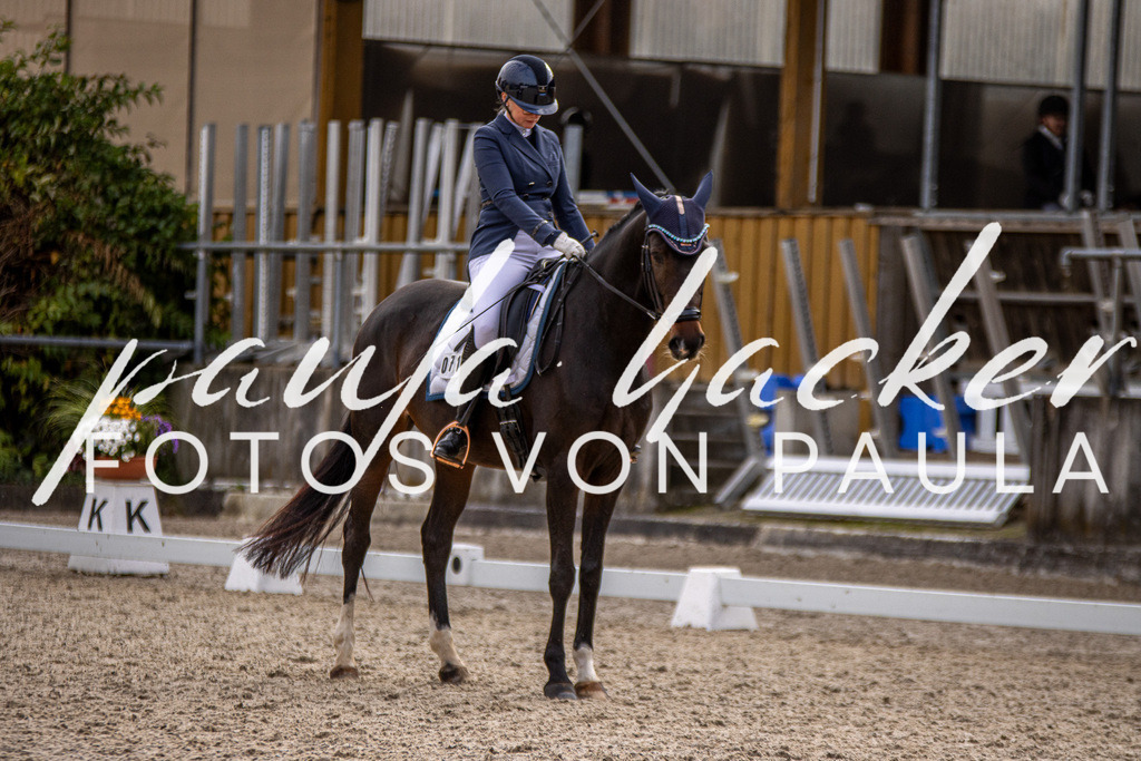 IMG_3135 | Erleben Sie dynamische Sport- und emotionale Tierfotografie in Süddeutschland mit Fotos von Paula. Spezialisiert auf Pferde- und Hundefotografie sowie Sportevents. Kontaktieren Sie mich für einzigartige und ausdrucksstarke Bilder Ihrer besonderen Momente.