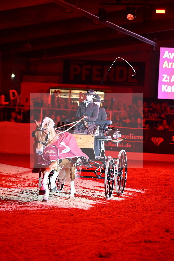 DSP_Avici_As_Karosser_2254579 | hf-fotografie - Realisiert mit Pictrs.com