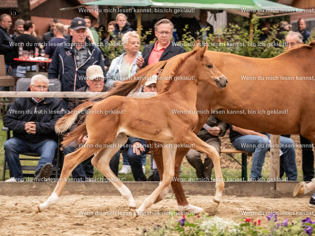 A10I4933 | photographylinaismer - Realisiert mit Pictrs.com