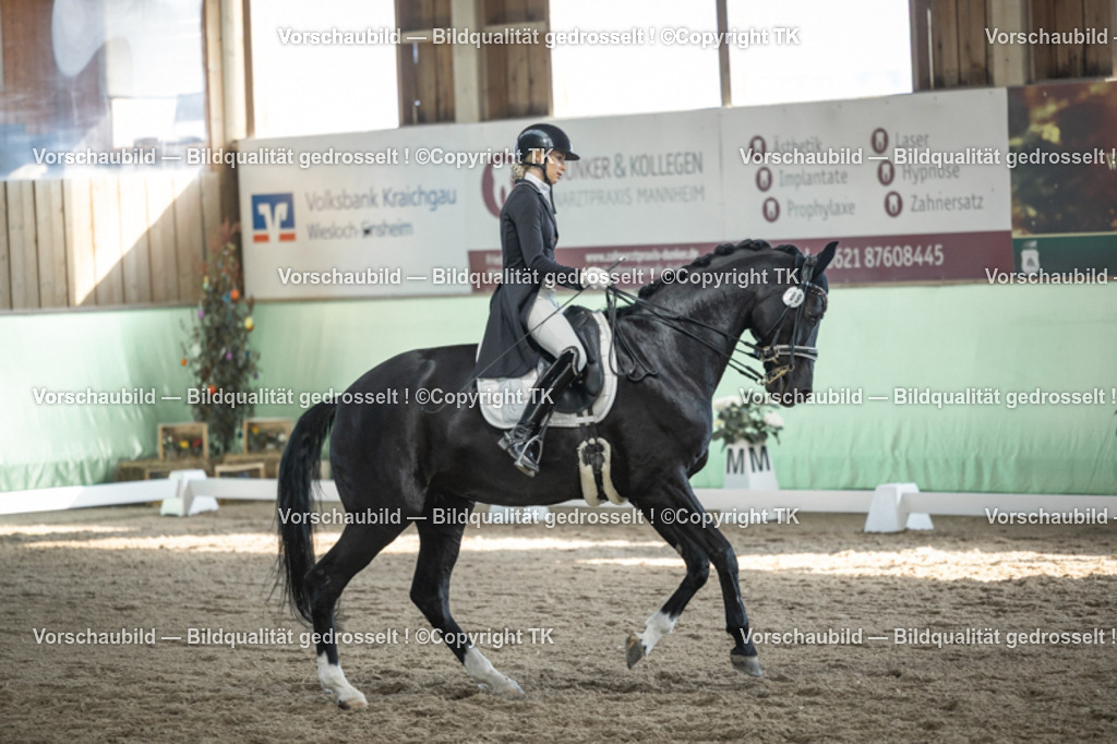 _D5A0264 | Emotionale Pferde- & People-Fotografie rund um Heidelberg, Leimen & Umgebung. Natürliche Fotos von Pferd, Mensch & Familie. Jetzt Termin sichern!