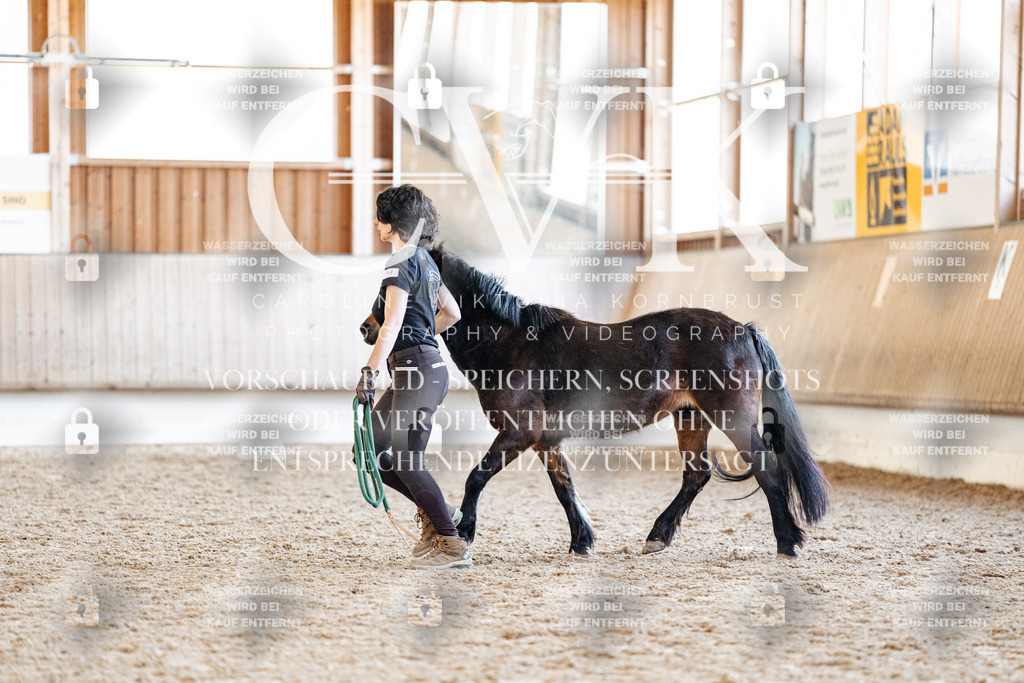 CK906880 | Turnierfotografie Pferdefotografie Trier Rheinland-Pfalz Pferdesport Reitsport Tierfotografie Sportfotografie Pferdevideo Pferdevideografie Equestrianvideography equestrianphotography  - Realisiert mit Pictrs.com