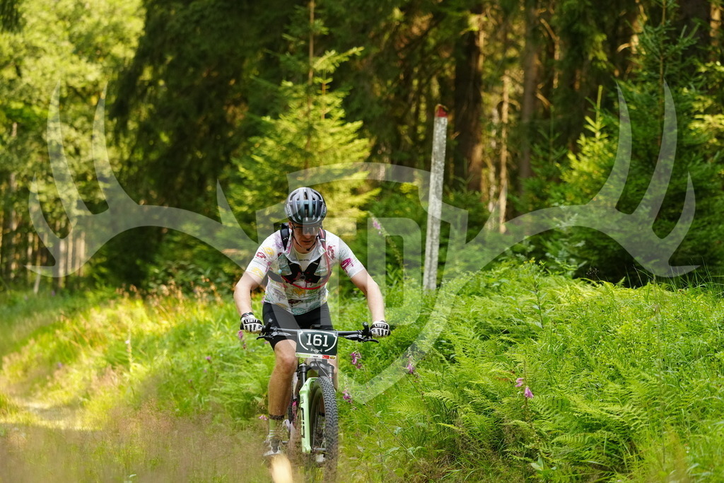 FC103387 | Fotogalerie der Treibjagd im Dunkelwald - Dein MTB Etappenrennen im Erzgebirge - Realisiert mit Pictrs.com