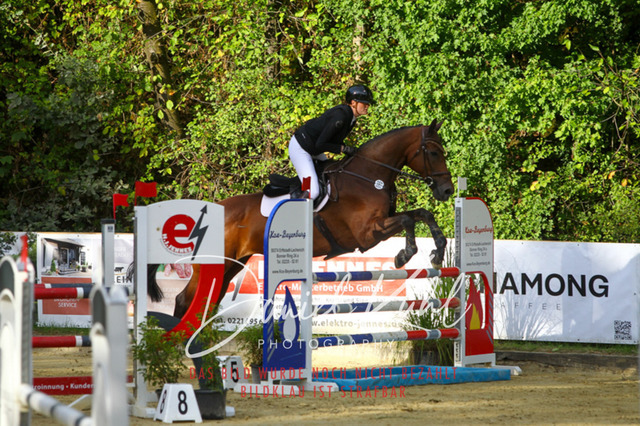 DKP42549 | Turniersportfotografie; Pferdefotografie; Dressurfotografie