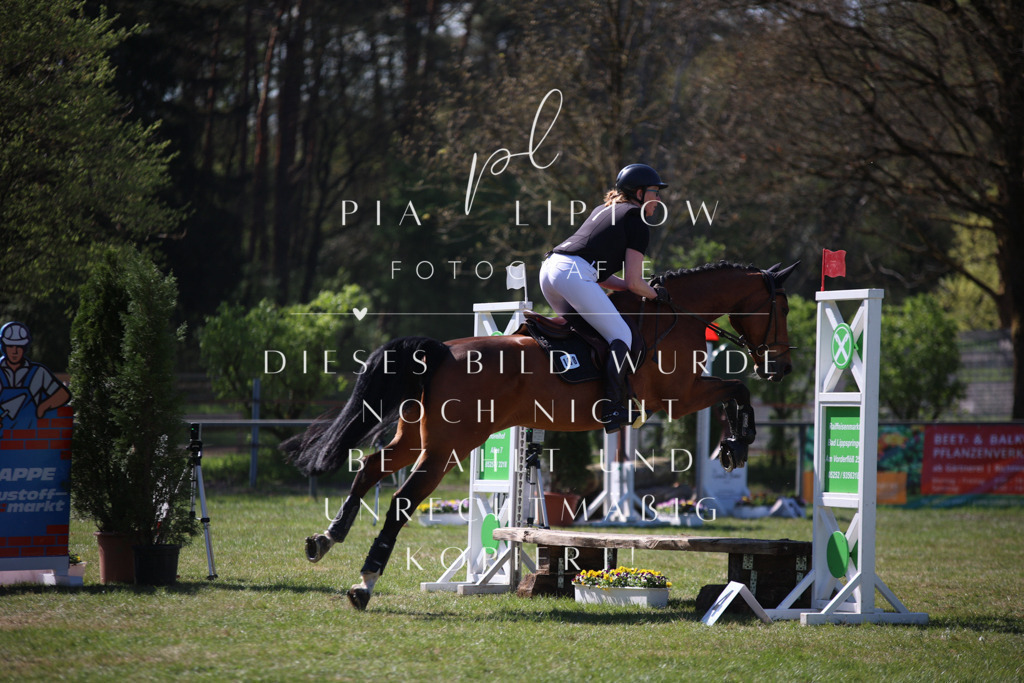 IMGT8864 | pl-fotografie