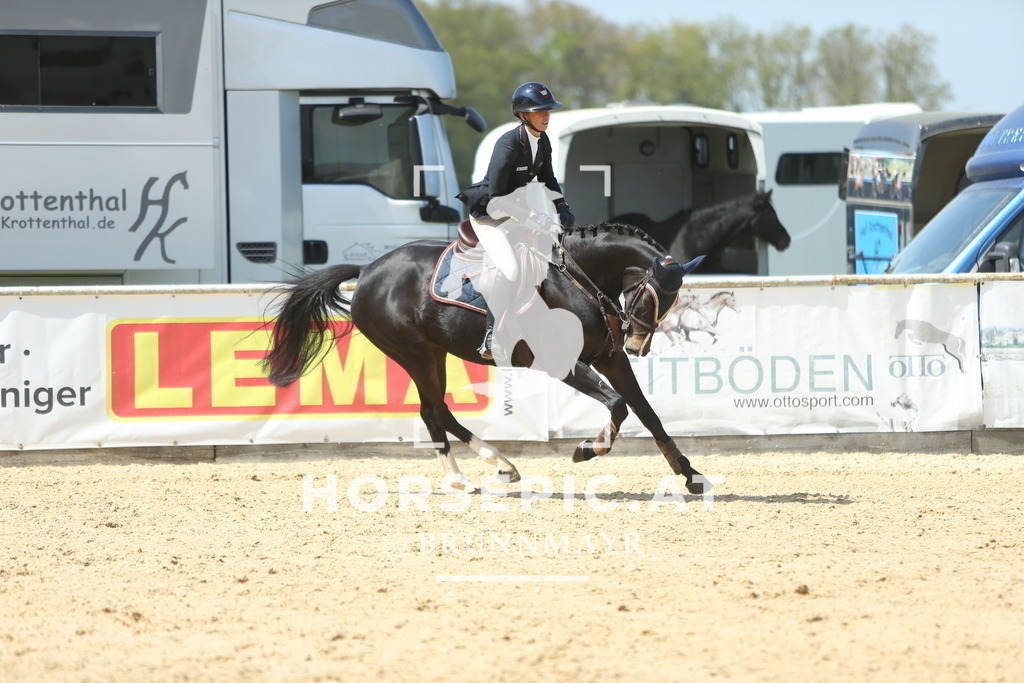 DL2Q1315 | Willkommen bei Brunnmayr - Design & Fotografie – Ihrem Spezialisten für Reitturniere und Pferdeveranstaltungen in Oberösterreich, Salzburg und Bayern! Seit über 17 Jahren sind wir leidenschaftlich dabei.