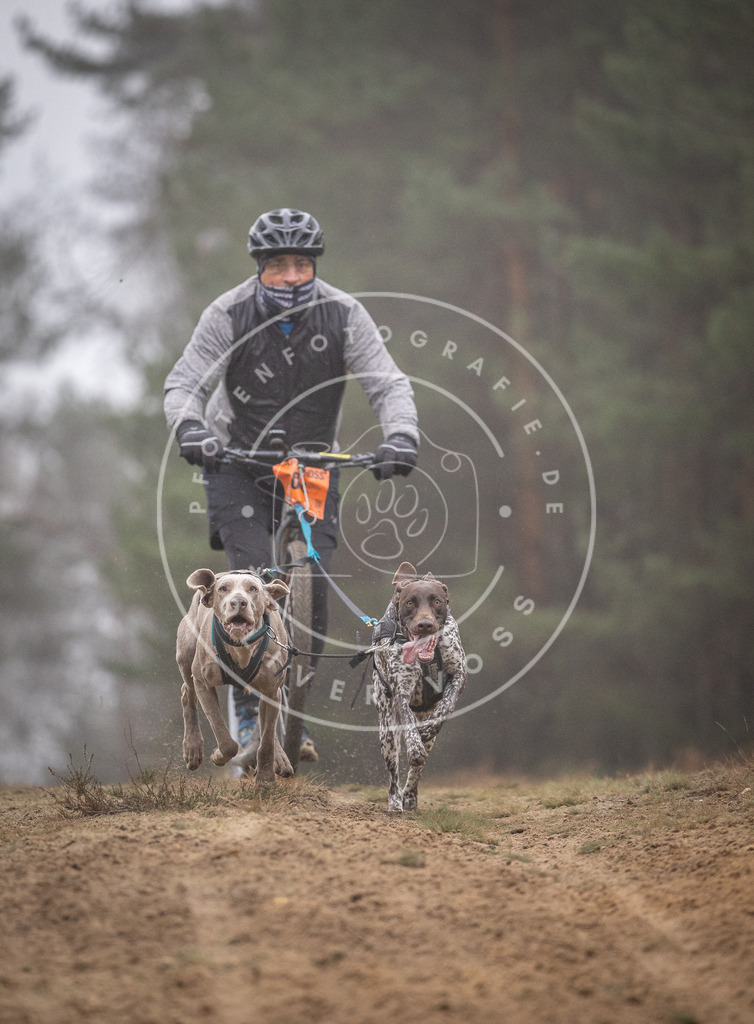 Pfotenfotografie_DV3A1080 | Hundefotografie, Tierfotograf, Pfotenfotografie, Fotoshooting Hund, Hunde Portrait, Hundesport, Hundeportraits, Heideshooting, Hunde, Sportfotograf, Hundefotograf, Turnierhundsport, THS,  - Realisiert mit Pictrs.com