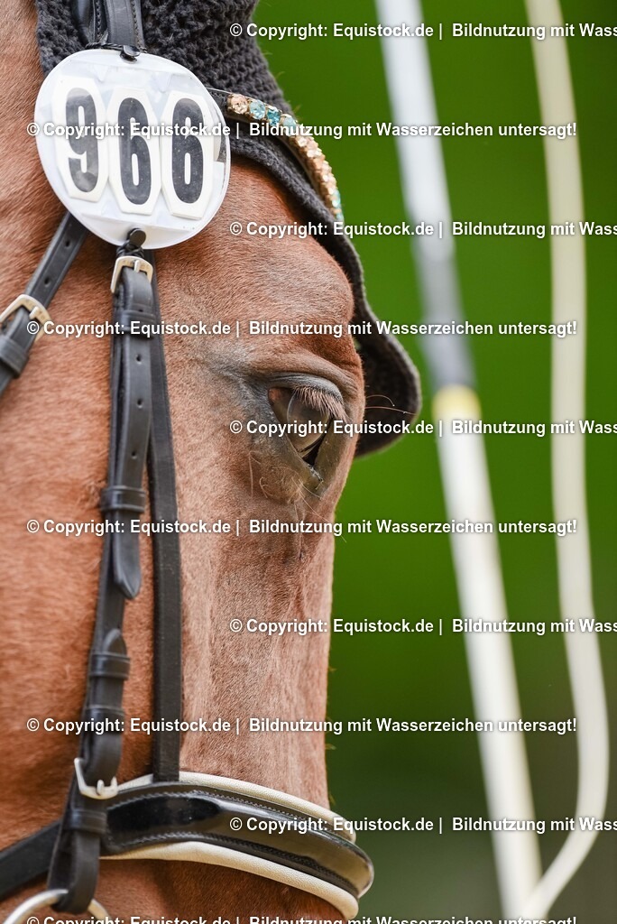 20250608_CVI-Masterclass_0561 | Foto: Thomas Hartig