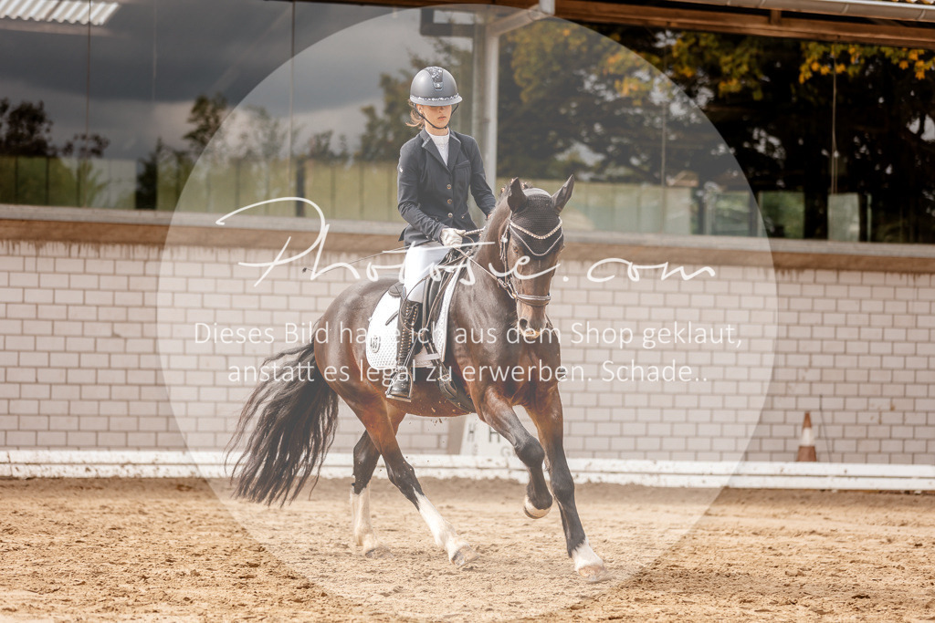 3I6A7484 | Stimmungsvolle Portraits und Reitsportfotografie im Ruhrgebiet und im Münsterland.

Pferdefotografie, Hundefotografie, Tierfotografie, Reportagen, Portraits von Tier und Mensch, Turnierfotografie in Bochum, Recklinghausen, Marl, Haltern am See, Dülmen.. - Realisiert mit Pictrs.com