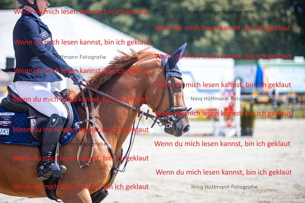 BK1A5012 | Turnierbilder Turnierfotos Nina Hüffmann Turnierfotografie Pferdefotografie Tierzeichnung Haustierzeichnung Pferdezeichnung Hundezeichnung Videograf  - Realisiert mit Pictrs.com