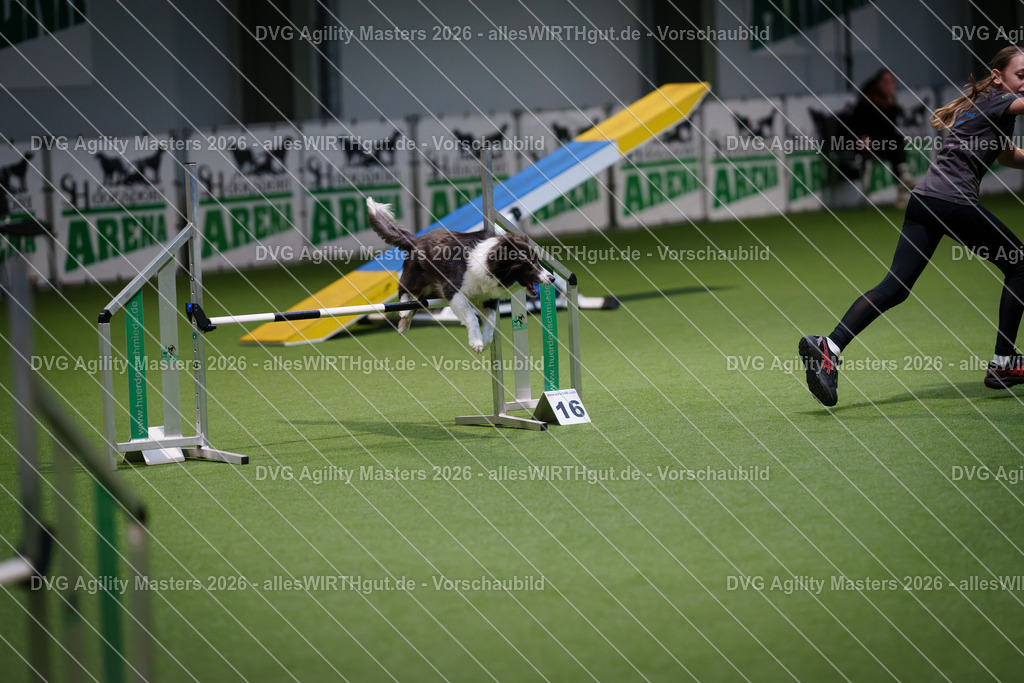 allesWIRTHgut_Tierfotografie-DVG_Agility_Masters_2026-16_09-7R503537 | Professionelle Tierfotografie in Mönchengladbach von Daniel Wirth (allesWIRTHgut). Liebevolle & natürliche Bilder von Hunden & Katzen für unvergessliche Erinnerungen.