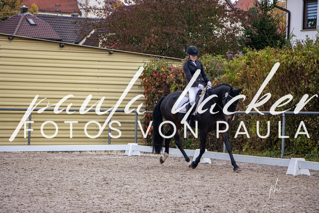 IMG_6254 | Erleben Sie dynamische Sport- und emotionale Tierfotografie in Süddeutschland mit Fotos von Paula. Spezialisiert auf Pferde- und Hundefotografie sowie Sportevents. Kontaktieren Sie mich für einzigartige und ausdrucksstarke Bilder Ihrer besonderen Momente. - Realisiert mit Pictrs.com