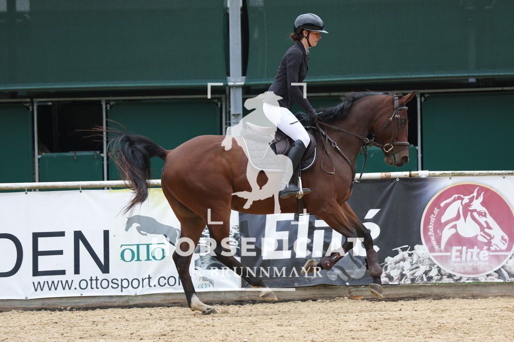 0P6A5521 | Willkommen bei Brunnmayr - Design & Fotografie – Ihrem Spezialisten für Reitturniere und Pferdeveranstaltungen in Oberösterreich, Salzburg und Bayern! Seit über 17 Jahren sind wir leidenschaftlich dabei.