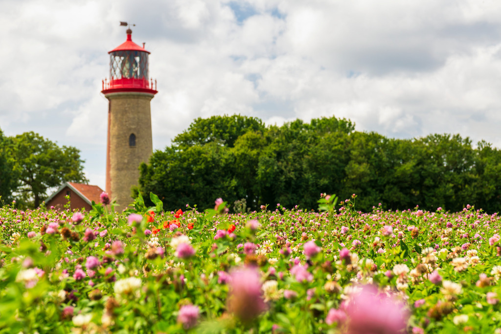 2025_07_09_FEHMARN-LEUCHTTURM+SCHMETTERLINGE_MCP8817 | Hochwertig gedruckte Fotografien für die Wand, als Kalender und zum Verschenken. Hamburg & Norddeutschland und überall wo ich mit der Kamera unterwegs war.