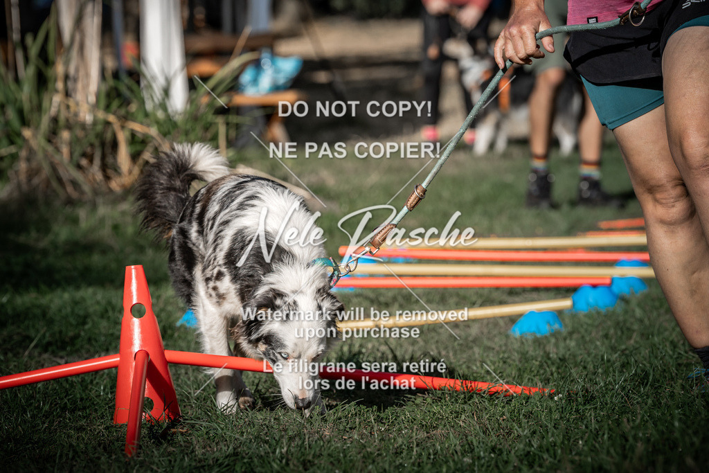nelerasche_slaw24Sa_70 | nelerasche
