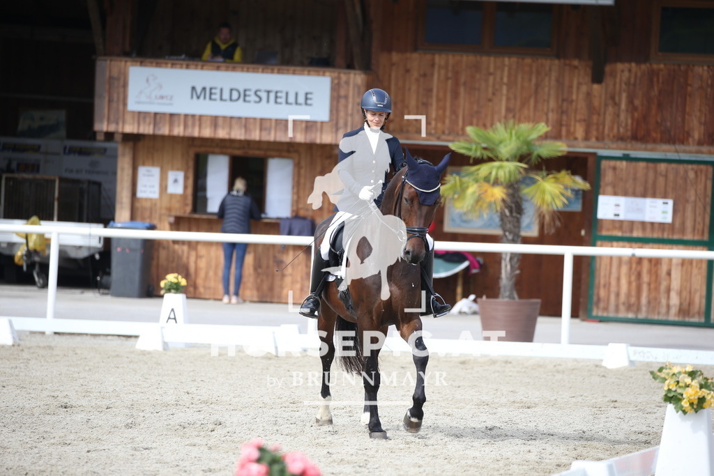 DL2Q2726 | Willkommen bei Brunnmayr - Design & Fotografie – Ihrem Spezialisten für Reitturniere und Pferdeveranstaltungen in Oberösterreich, Salzburg und Bayern! Seit über 17 Jahren sind wir leidenschaftlich dabei.
