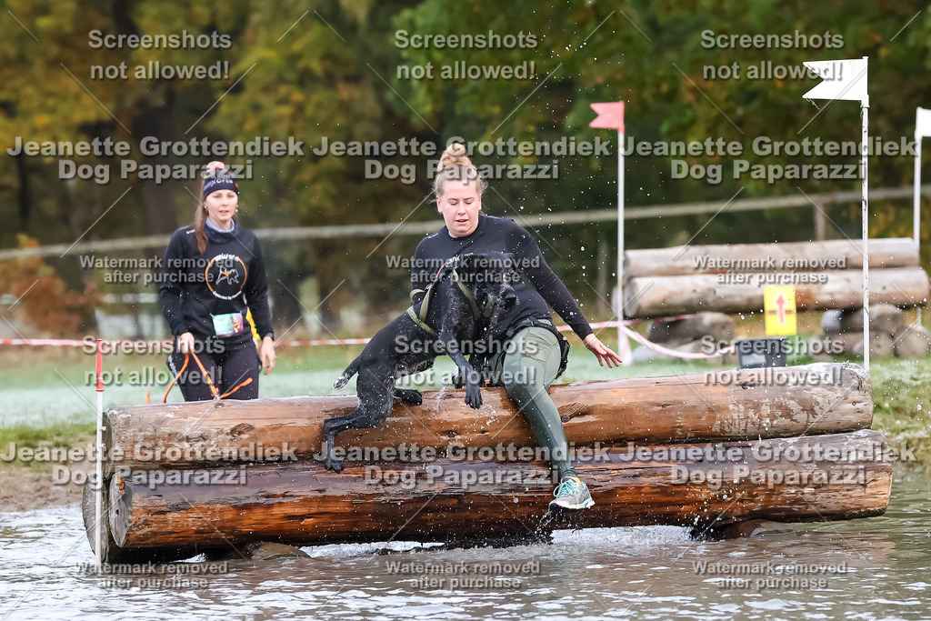 Dog Paparazzi - Strongdog 10-25-6213 | Dog Paparazzi Jeanette Grottendiek Fotografie & Videografie - Realisiert mit Pictrs.com