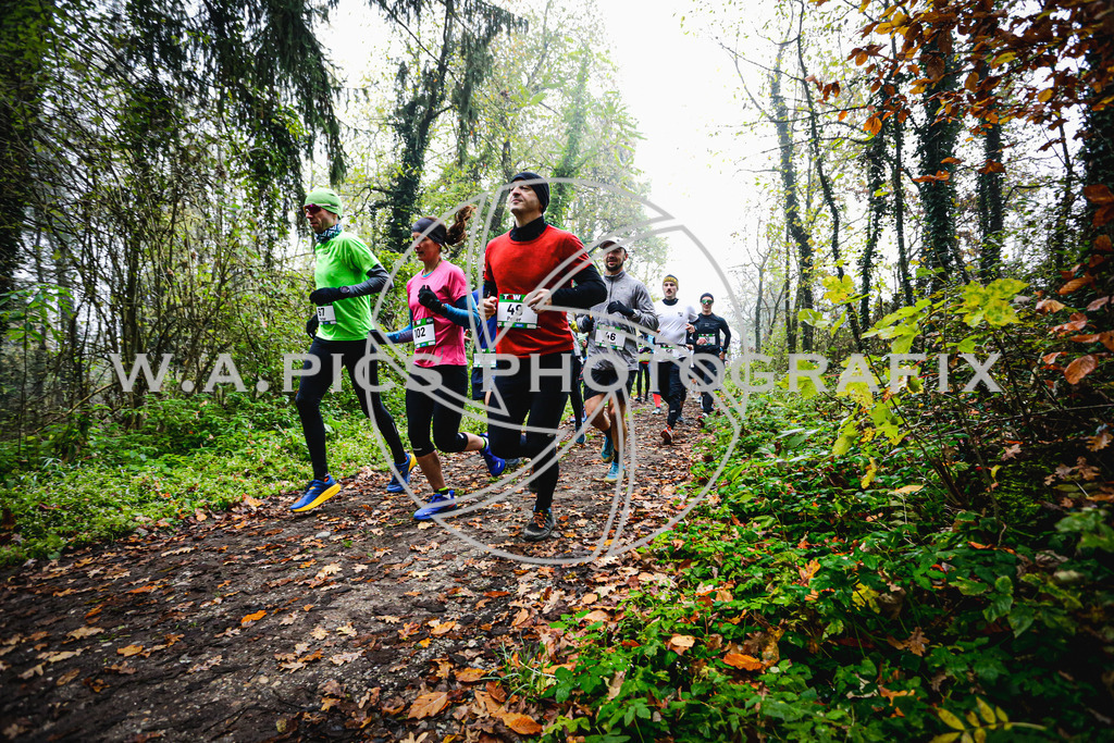 A-WAPICS_20241109_22-2 | Sport-,  Presse- und Eventbegleitung!
Contact me !
