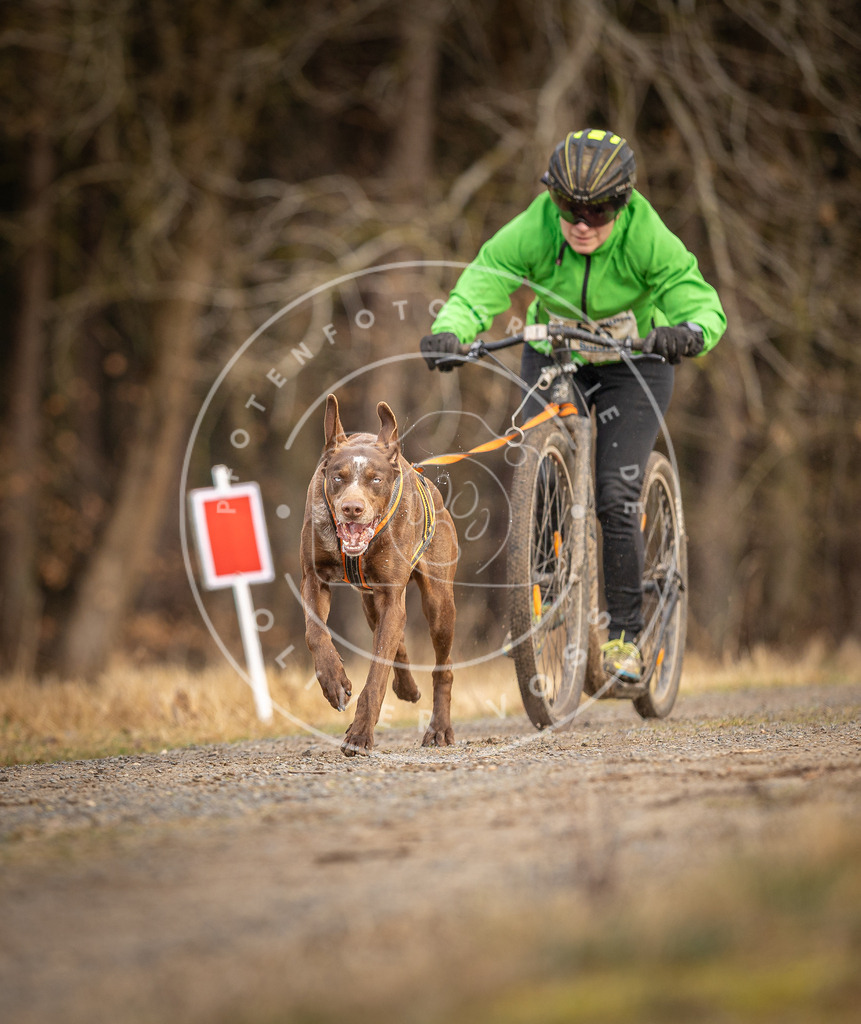 DV3A3471 | Hundefotografie, Tierfotograf, Pfotenfotografie, Fotoshooting Hund, Hunde Portrait, Hundesport, Hundeportraits, Heideshooting, Hunde, Sportfotograf, Hundefotograf, Turnierhundsport, THS,  - Realisiert mit Pictrs.com