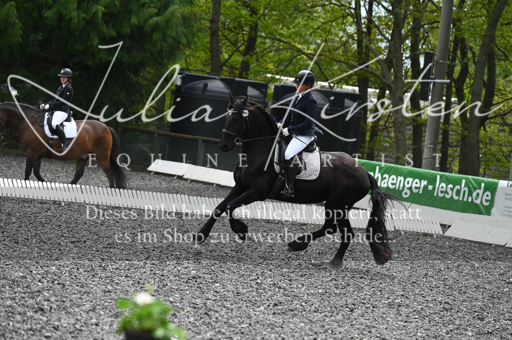 20230512_JK-Röhrsdorf-07-087 | Pferde- und Turnierfotografie in Westsachsen. Pferdeportraits, Auftragszeichnungen und intuitive Kunst.