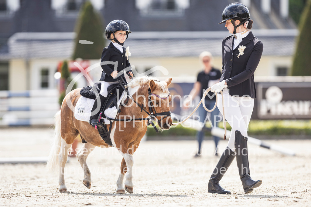 260509_PfSpTa_16_Führzügel-WB-614 | Deine schönsten Turniermomente als professionelle Fotos! Entdecke hochwertige Pferdesport-Fotografie im Online-Shop. Jetzt Fotos finden & bestellen!