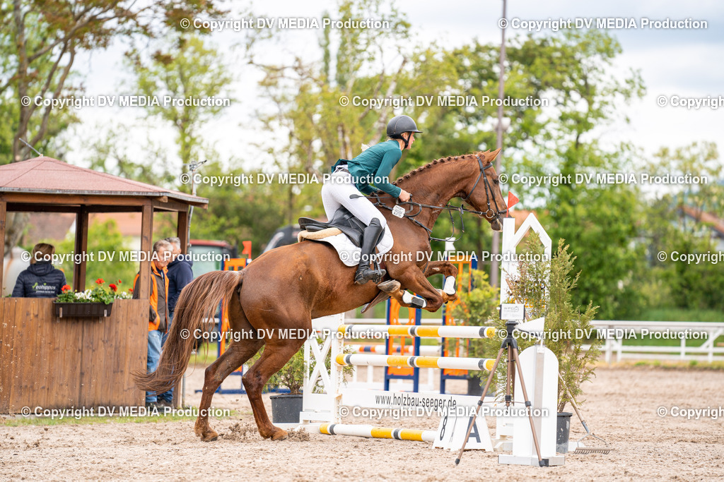 Eppelheim Tag 1-57 | dv-media-shop - Realisiert mit Pictrs.com