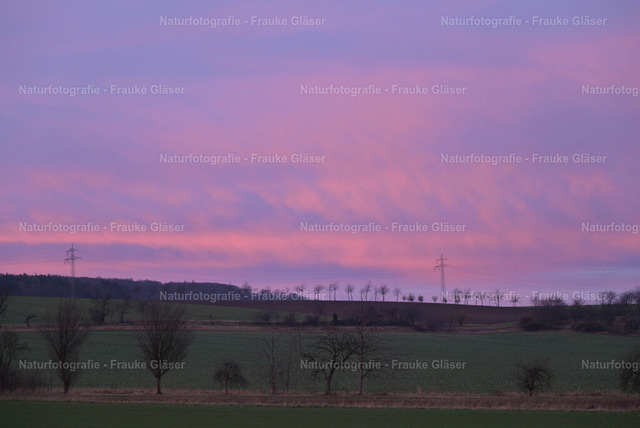 F.Gläser_72_Bornum_06. Dezember 2025 | Naturfotografie Frauke Gläser - Realisiert mit Pictrs.com