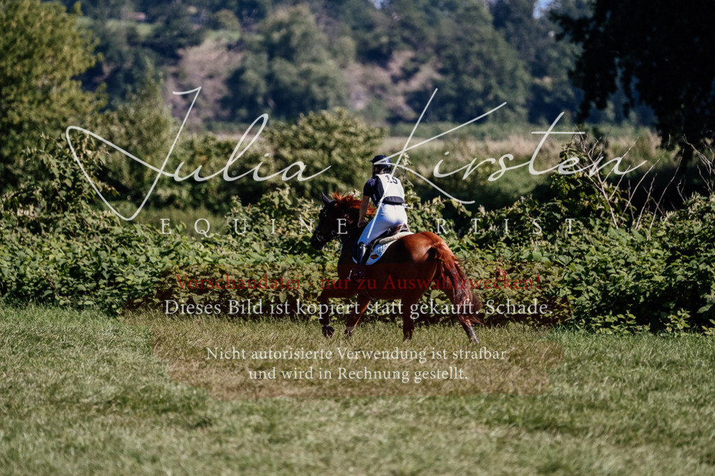 DSC_1879 | Pferde- und Turnierfotografie in Westsachsen. Pferdeportraits, Auftragszeichnungen und intuitive Kunst.