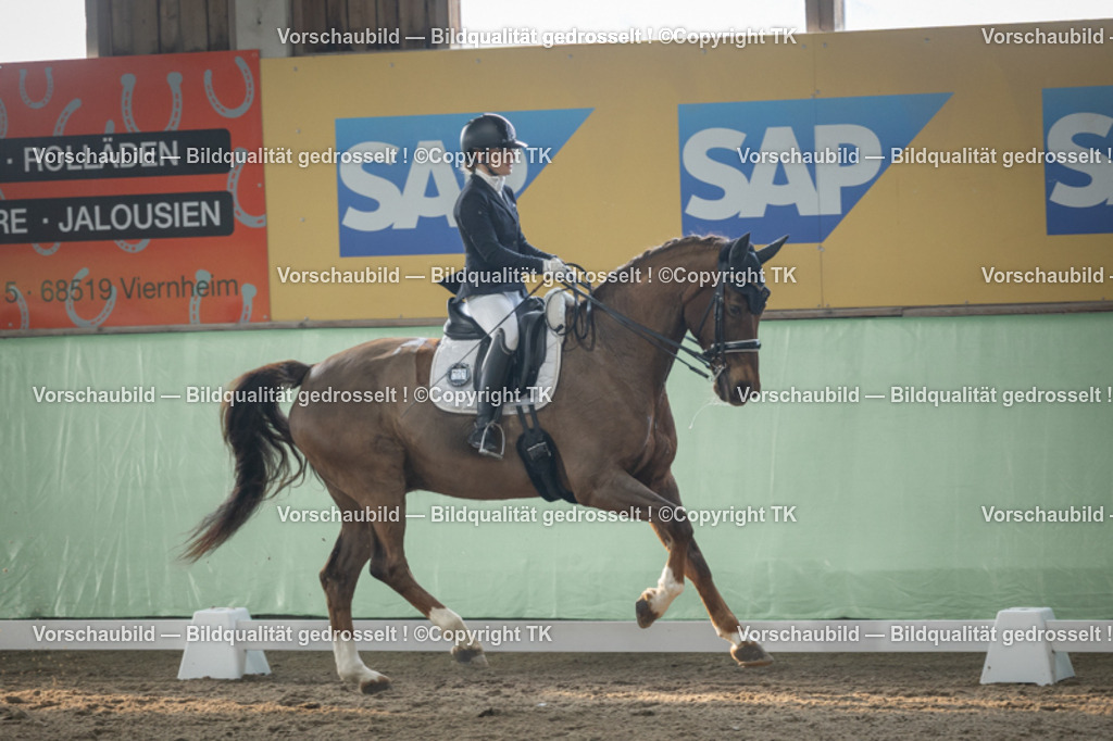 _D5A4201 | Emotionale Pferde- & People-Fotografie rund um Heidelberg, Leimen & Umgebung. Natürliche Fotos von Pferd, Mensch & Familie. Jetzt Termin sichern!