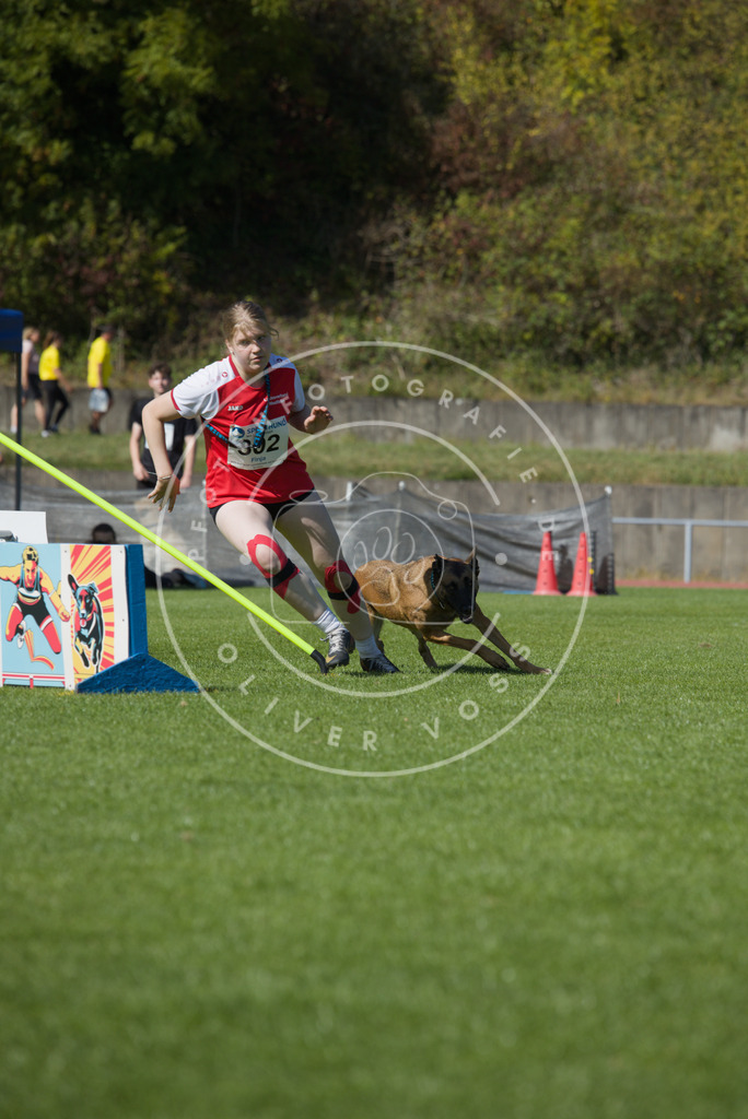 0L8A7260 | Hundefotografie, Tierfotograf, Pfotenfotografie, Fotoshooting Hund, Hunde Portrait, Hundesport, Hundeportraits, Heideshooting, Hunde, Sportfotograf, Hundefotograf, Turnierhundsport, THS,  - Realisiert mit Pictrs.com