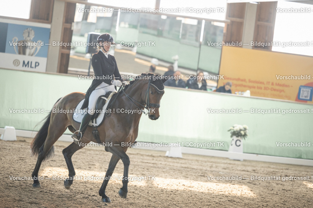 _D5A7768 | Emotionale Pferde- & People-Fotografie rund um Heidelberg, Leimen & Umgebung. Natürliche Fotos von Pferd, Mensch & Familie. Jetzt Termin sichern!