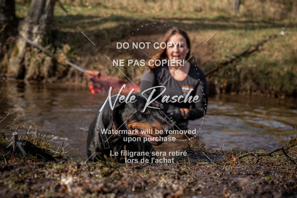nelerasche_FS1330-1400_288 | nelerasche
